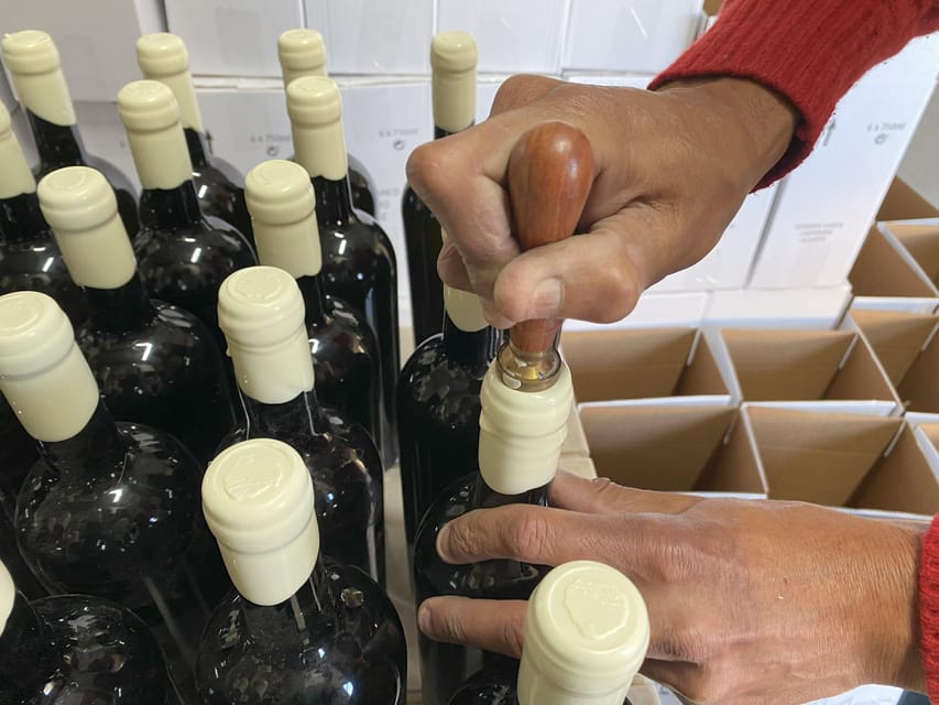Albufeira/Porches/Vilamoura: Wine Tasting with Tapas & Music - What to bring and how to prepare