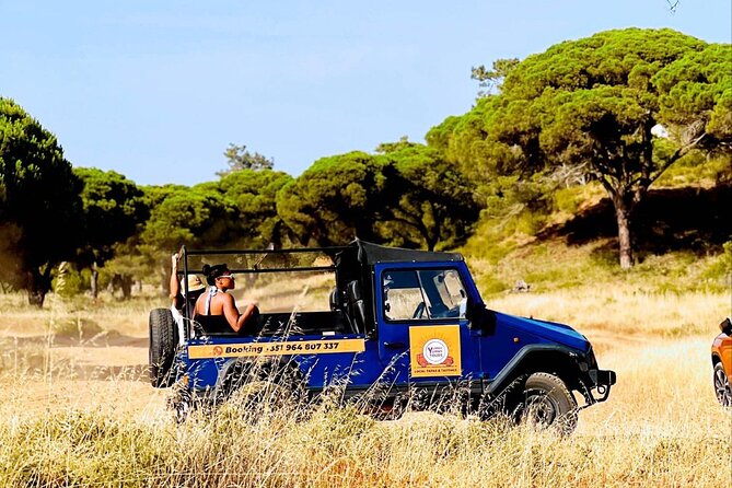Albufeira Tour with Local Tapas and Tasting - A food tour with a strong local accent