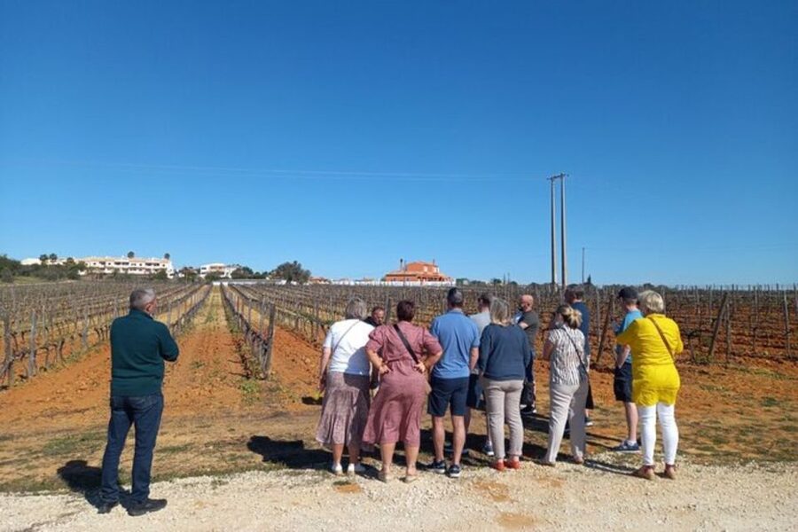 Albufeira/Vilamoura: Winery Tour with Wine Tasting and Tapas - Four Wines, Four Different Styles