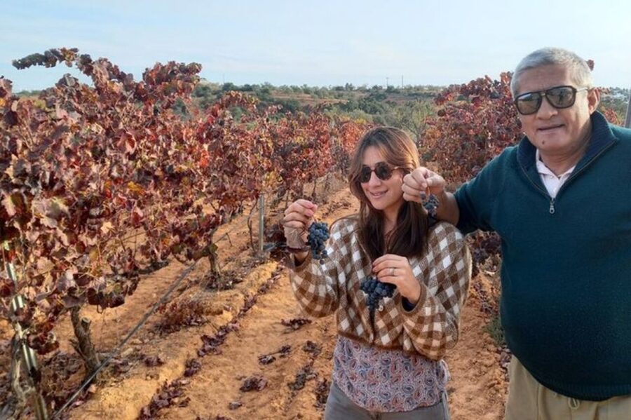 Albufeira/Vilamoura: Winery Tour with Wine Tasting and Tapas - Seeing Albufeira Through a Local Guide