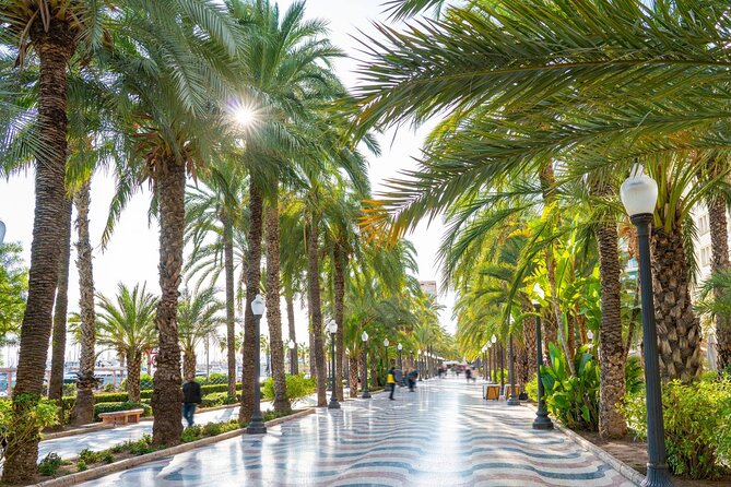 Alicante Tour: Full City, Castle, Market & Tapas Experience - City Hall, the Basilica, and the city’s old stories
