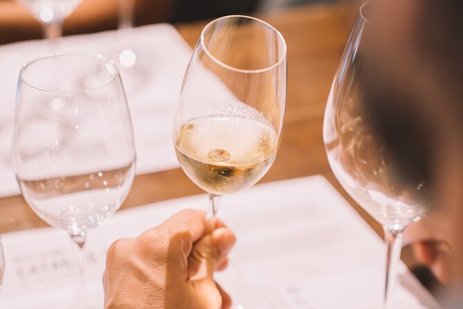 Andalusian Wine Tasting in Cala de Mijas - 4 Top Wines + Tapas - Four Andalusian wines in one compact lesson