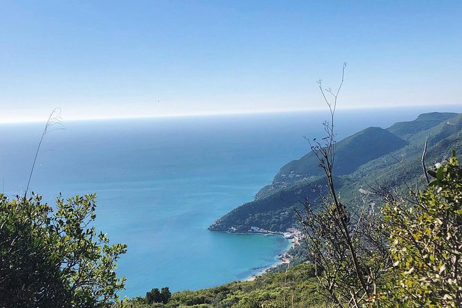 Arrábida Palmela Azeitão Private Tour - W/ Wine Tasting & Tapas - Guides who shape the experience