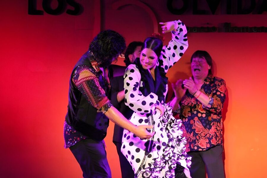 Authentic Flamenco Show & Tapas Tour in Granada - Who will enjoy this Granada evening