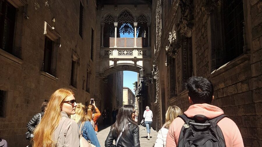 Barcelona: 4-Hour Tapas Evening Tour and Flamenco Show - Who will get the most from this tour
