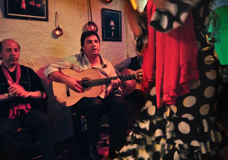 Barcelona: City Tour & Flamenco Show with Wine & Tapas - Who should book this experience