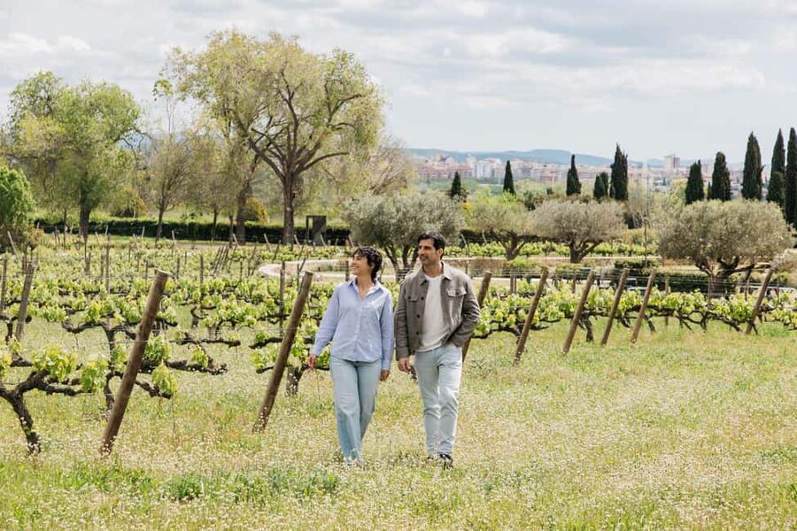 Barcelona-Penedès: Familia Torres wine & tapas winery tour - Key points at a glance