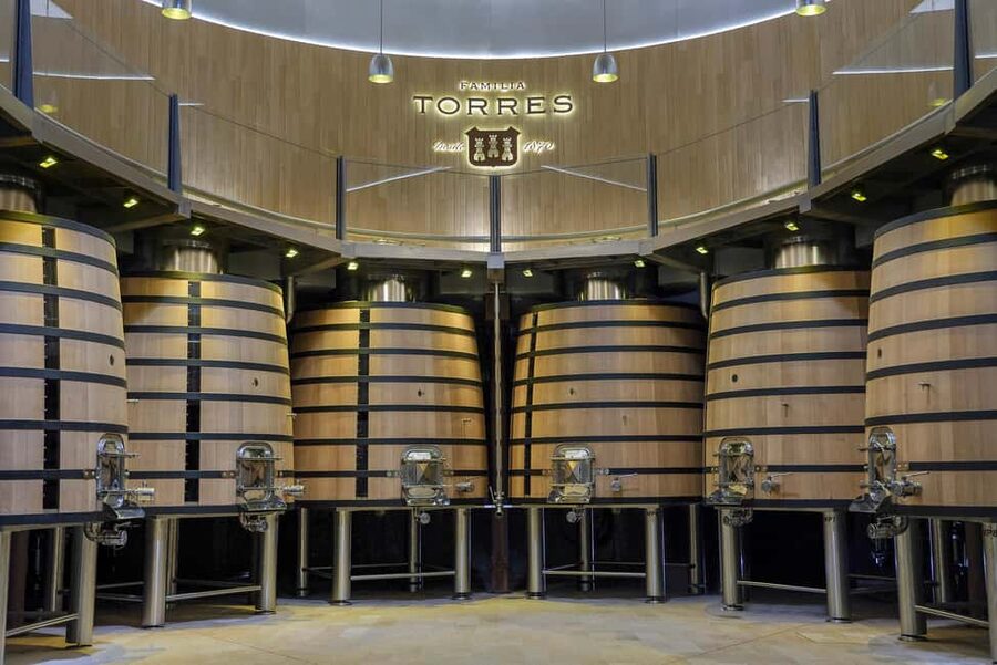 Barcelona-Penedès: Familia Torres wine & tapas winery tour - Is $44 a good value?
