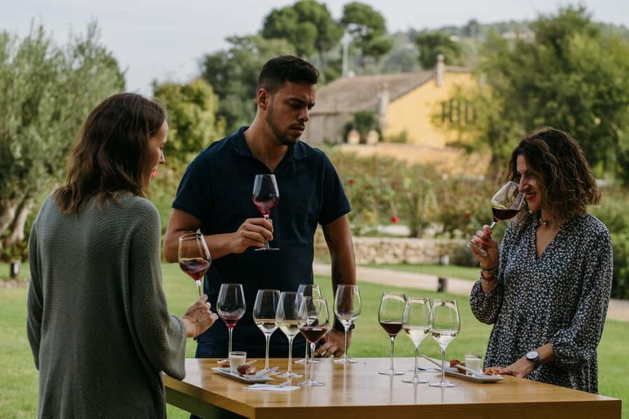 Barcelona-Penedès: Familia Torres wine & tapas winery tour - Should you book the Familia Torres tour?