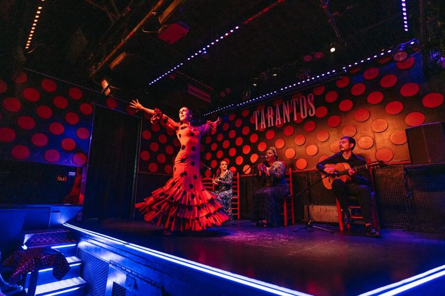 Barcelona: Tapas and Flamenco Experience - A short show with plenty of force