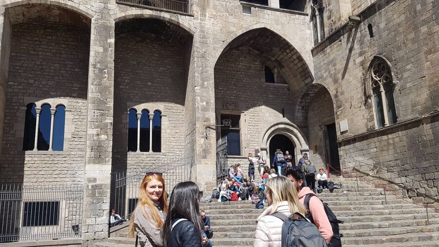 Barcelona: Tapas & Picasso Museum Guided Walking Tour - Mediterranean tapas at a local favorite