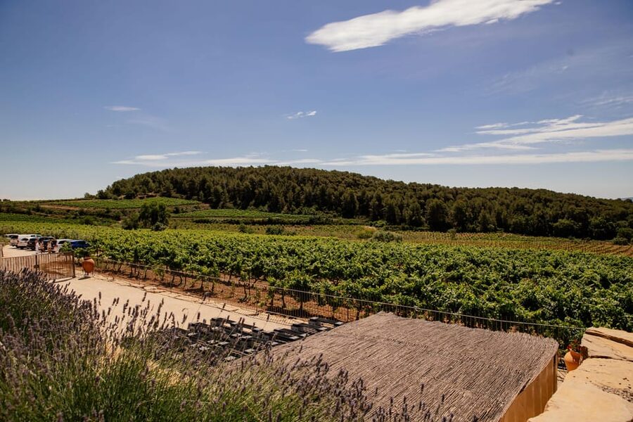 Barcelona: Vineyard Horseback Riding & Wine Tasting + Tapas - Should you book the Penedès horseback and wine day?