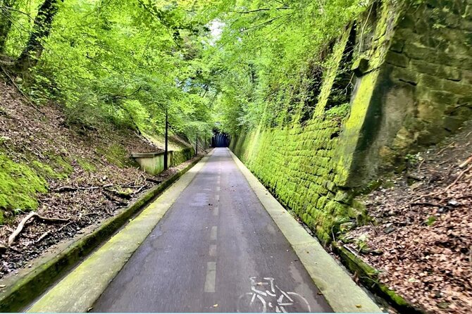 Bike Tour in San Sebastián with FREE pintxo and drink! - Why a bike is a smart way to see San Sebastián