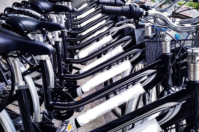 Bike Tour in San Sebastián with FREE pintxo and drink! - One hour through San Sebastián’s main areas