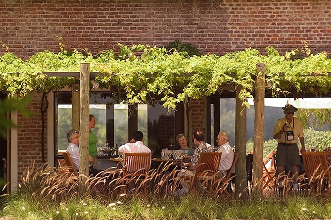 Bouza Winery Tastings and Tapas (Esp, Eng, Port) - Practical details for families and mixed groups