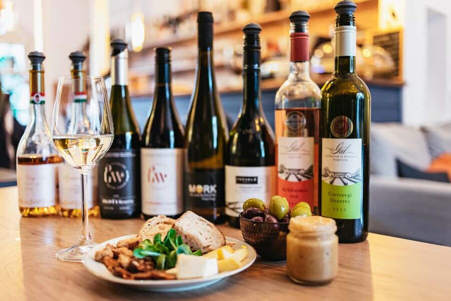 Budapest: Hungarian Wine Tasting with 8 Wines and Tapas - The first glasses: Hungarian wine by map and story