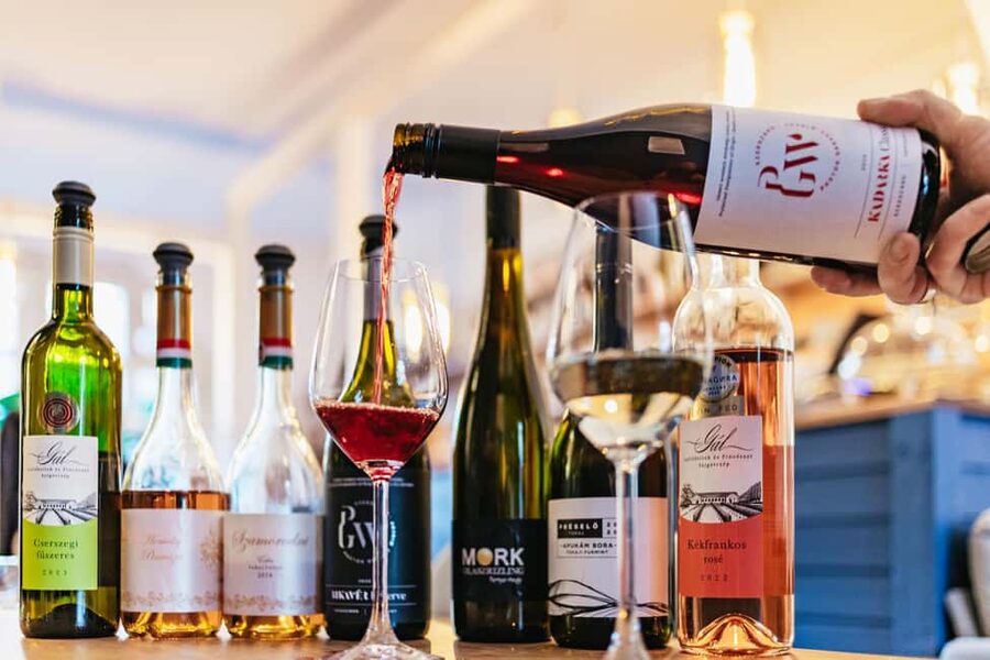 Budapest: Hungarian Wine Tasting with 8 Wines and Tapas - The guide can shape the whole evening