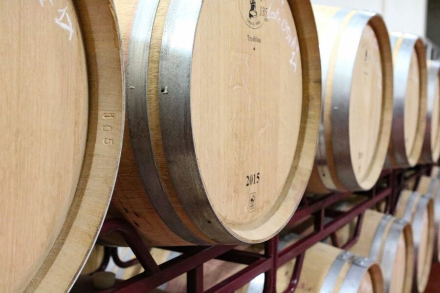 Carvoeiro/Portimão/Alvor: Wine Tour w/ Tasting, Tapas, Music - Should You Book It?