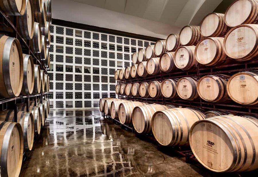 Casa Relvas, Évora - Visit to the Winery with Tasting of Portuguese Grape Varieties and Tapas - Starting with Évora and the Alentejo terroir