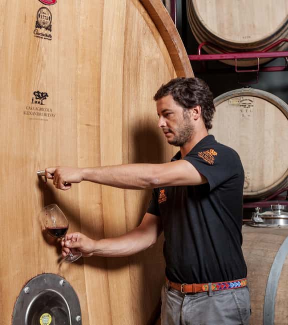 Casa Relvas, Évora - Visit to the Winery with Tasting of Portuguese Grape Varieties and Tapas - Inside the aging cellar and the role of oak