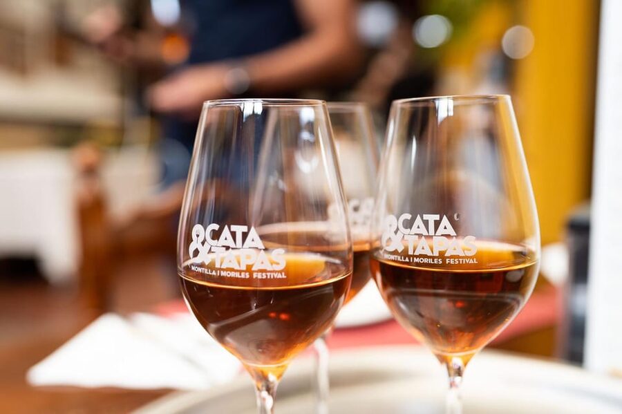 Cordoba: Tapas Bars Tour With Local Guide - Why the guides matter more than the food list