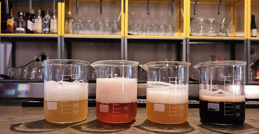 Craft Beer Tasting and tapas in Valencia - Four beers, four pairings, and a clear tasting order