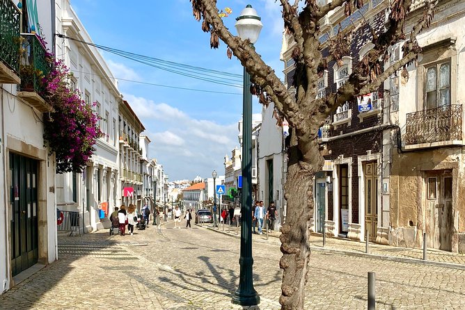 Discover Tavira - Tapas and Wine Tour - Salt, Atalaia, and Tavira’s working past