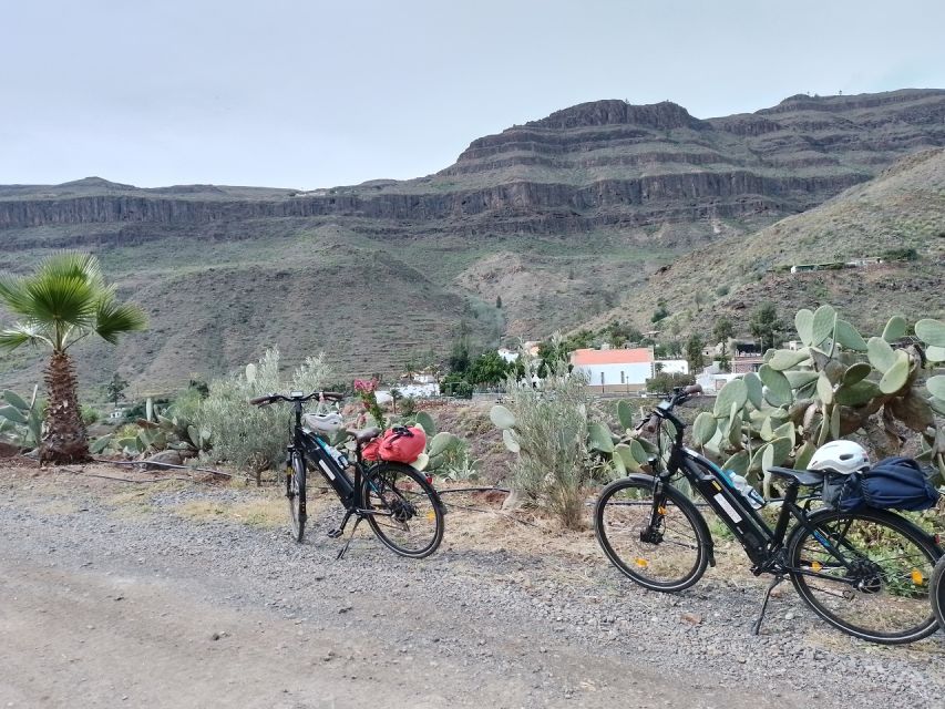 E-Bike Mountain Tour in Natural Park +Option Tapas in a Cave - A plant lesson at Parque del Sur