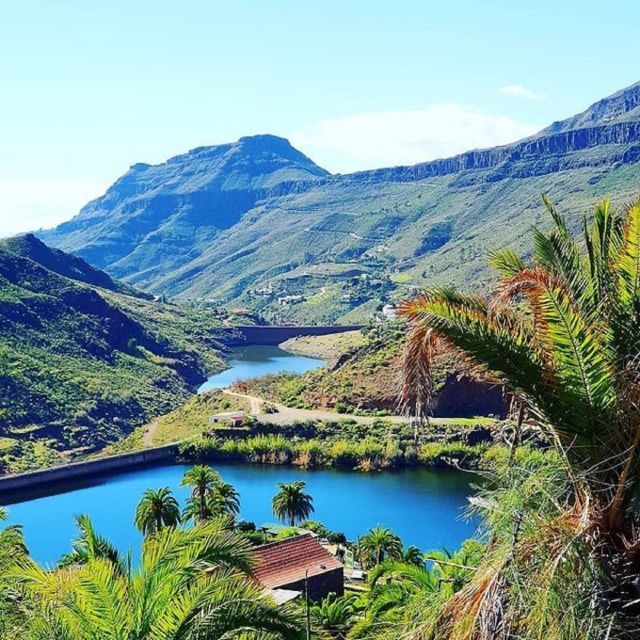 E-Bike Mountain Tour in Natural Park +Option Tapas in a Cave - The high point: a drink inside an ancient cave