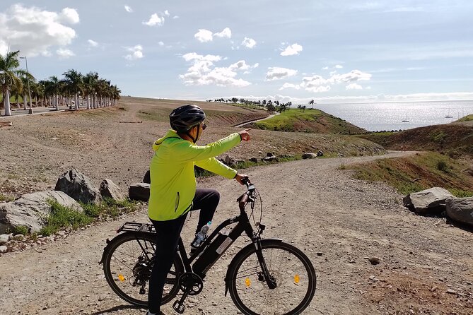 Electric Bike Panoramic South Coast Tour Optional Fishing Tapas - A quick look at Maspalomas plant life