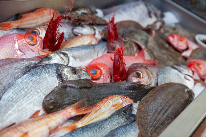 Fado nights with Algarvian tapas tasting - Is the $83.08 price good value?