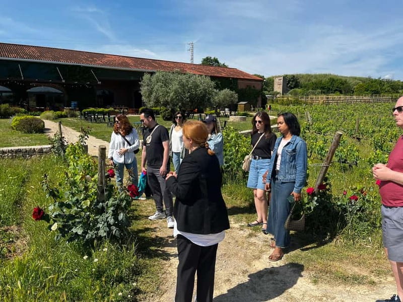 Familia Torres Winery: Gastronomic Tapas & Wine Experience - Small practical details that matter
