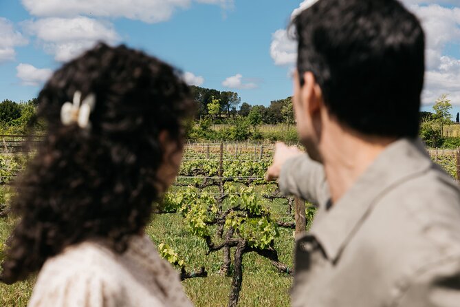 Familia Torres Winery: Gastronomic Tapas & Wine Experience - Who will enjoy this experience most