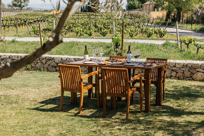 Familia Torres Winery: Gastronomic Tapas & Wine Experience - Practical details before you leave Barcelona