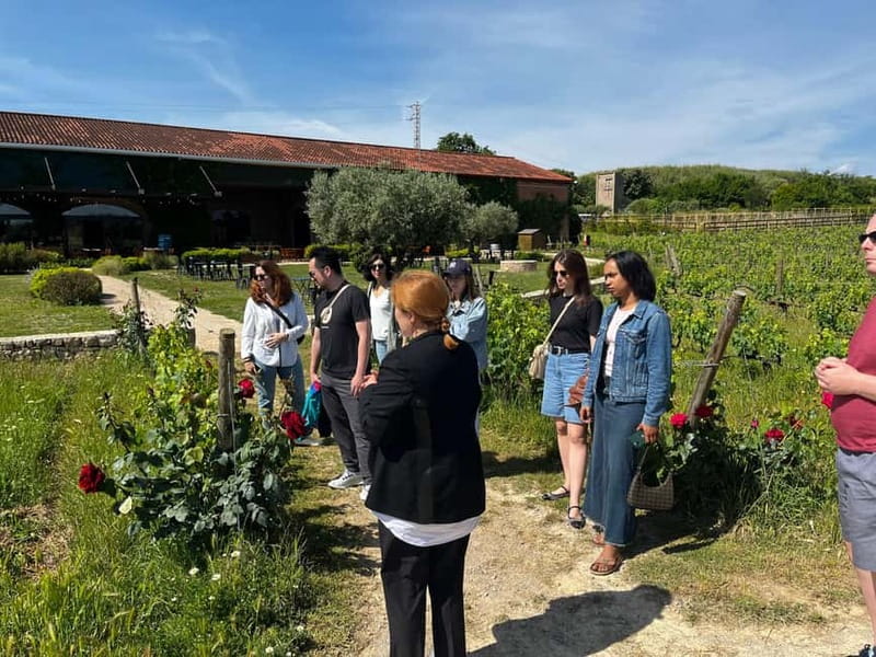 Familia Torres Winery: Gastronomic Tapas & Wine Experience - Is the $147 price fair?