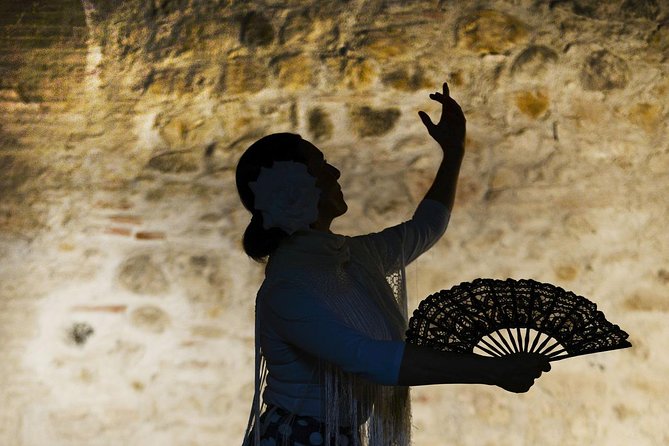 Flamenco, Tapas and Wine Tour: Best of Málaga in one Evening - Why this four-hour Málaga evening works