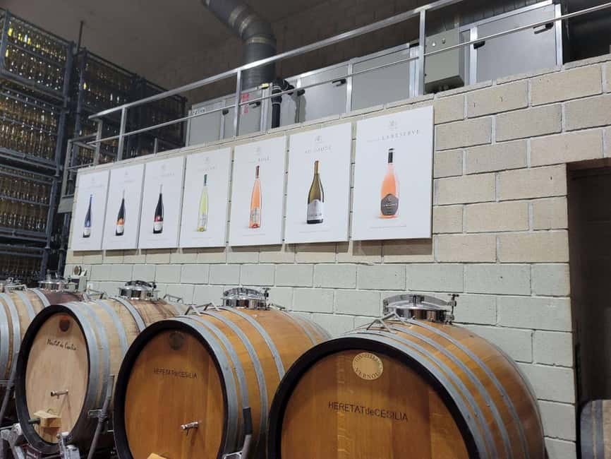 From Alicante: Winery Tour and Wine Tasting with Tapas - From Alicante to the Costa Blanca vineyards