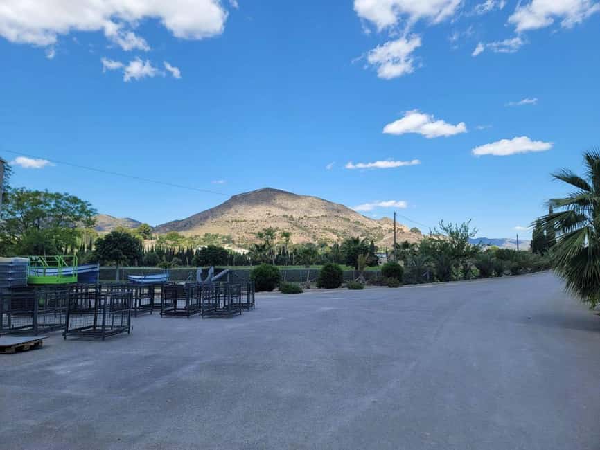 From Alicante: Winery Tour and Wine Tasting with Tapas - Should you book this Alicante wine tour?