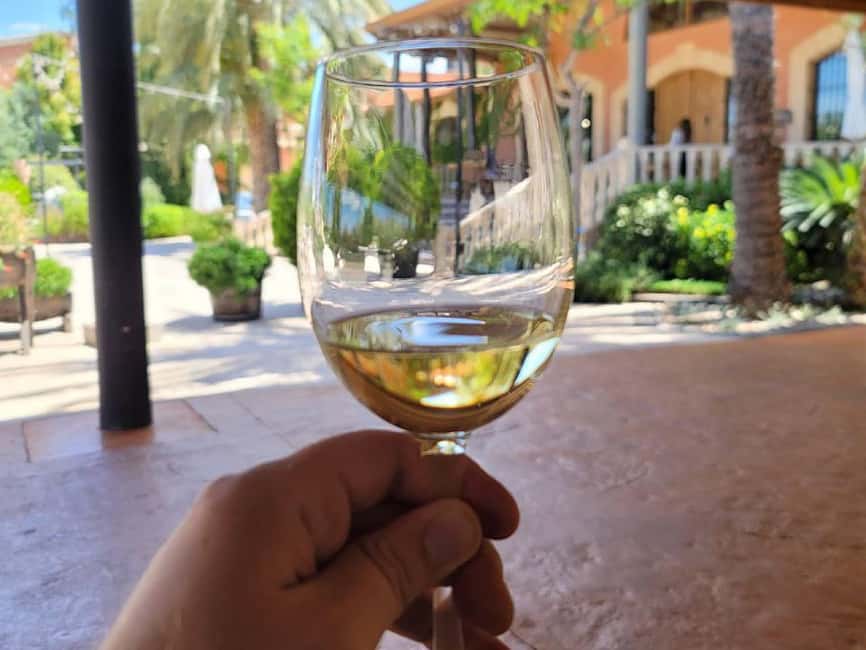 From Alicante: Winery Tour and Wine Tasting with Tapas - Starting among the grapevines