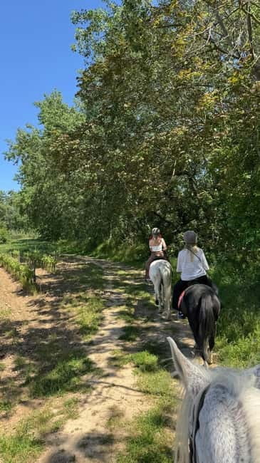 From Barcelona: PRIVATE Horseback Ride + Tapas + Picnic - Leaving Barcelona for Penedès at 10 a.m.