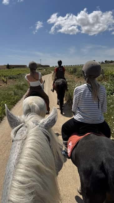 From Barcelona: PRIVATE Horseback Ride + Tapas + Picnic - Private transport and a guide who stays with your group