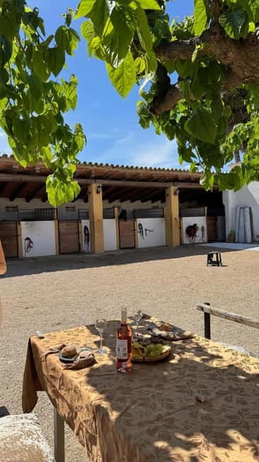 From Barcelona: PRIVATE Horseback Ride + Tapas + Picnic - Is $347 per person fair value?