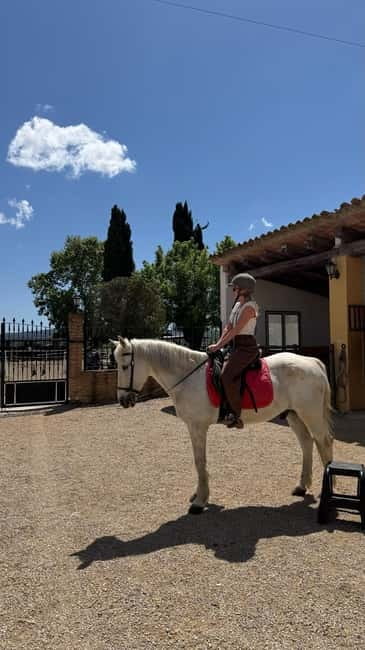 From Barcelona: PRIVATE Horseback Ride + Tapas + Picnic - My call: a good private outing with one price warning