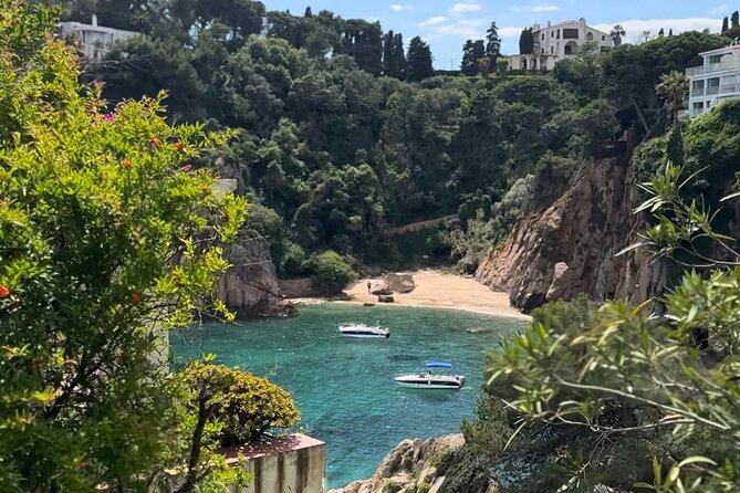 From Barcelona: Wine Tasting & Tapas + MARIMURTRA Garden + Blanes - Is $313.21 per person fair?