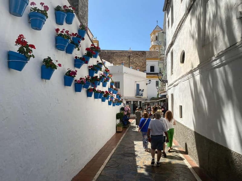 From Estepona, Mijas, Marbella: Marbella Private Tour with Transport, Tapas, and Drinks - Seeing Marbella beyond the old center