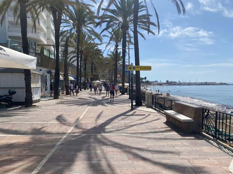 From Estepona, Mijas, Marbella: Marbella Private Tour with Transport, Tapas, and Drinks - Who will enjoy this four-hour format