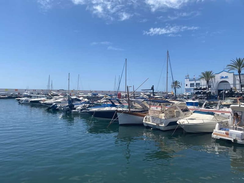 From Estepona, Mijas, Marbella: Marbella Private Tour with Transport, Tapas, and Drinks - From your hotel to Marbella’s old town