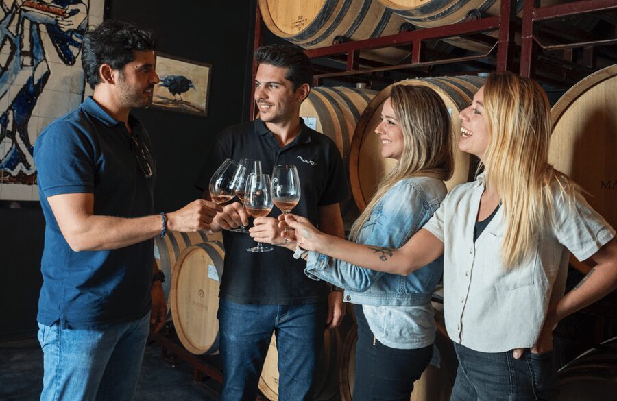 From Madrid: Traditional Villages, Winery Tour & Tapas Lunch - Should you book this experience?