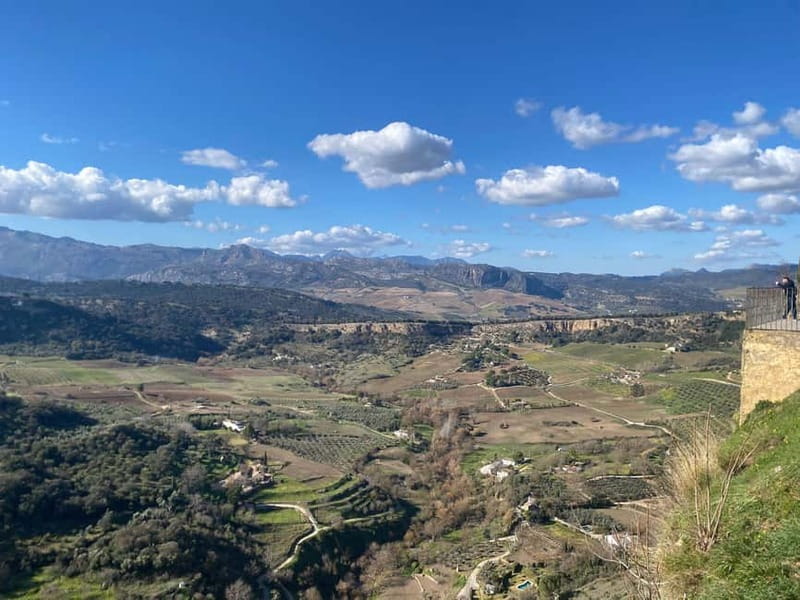From Marbella: Ronda, private transport, cafe, bullring, tapas, drinks - Is $220 per person good value?