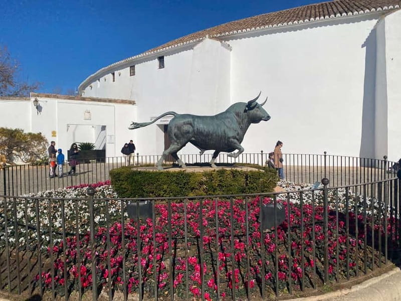 From Marbella: Ronda, private transport, cafe, bullring, tapas, drinks - Who should book this Ronda tour?